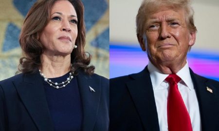 Harris and Trump’s Celebrity Endorsements.